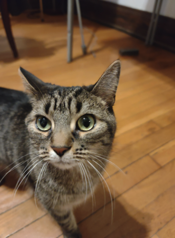 Chloe